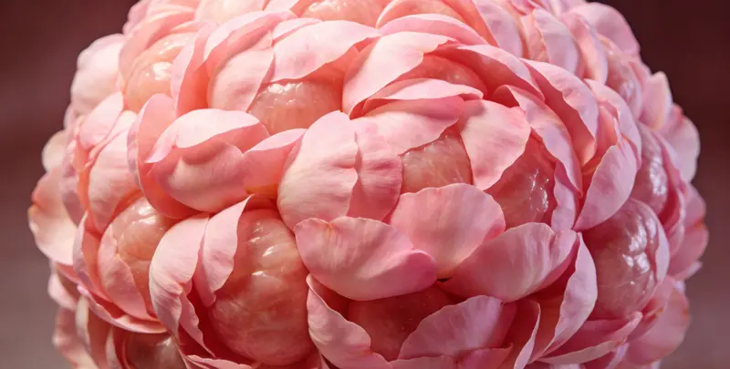 河源BRCA1/2乳腺癌卵巢癌基因检测图片1